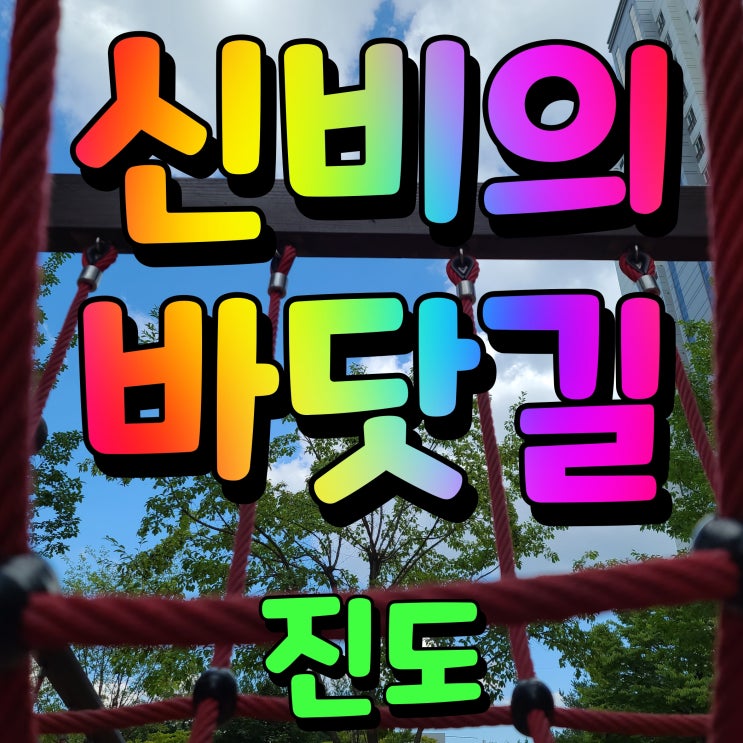  진도 신비의 바닷길 시간 4월 축제 취소 신비한 체험 해보자