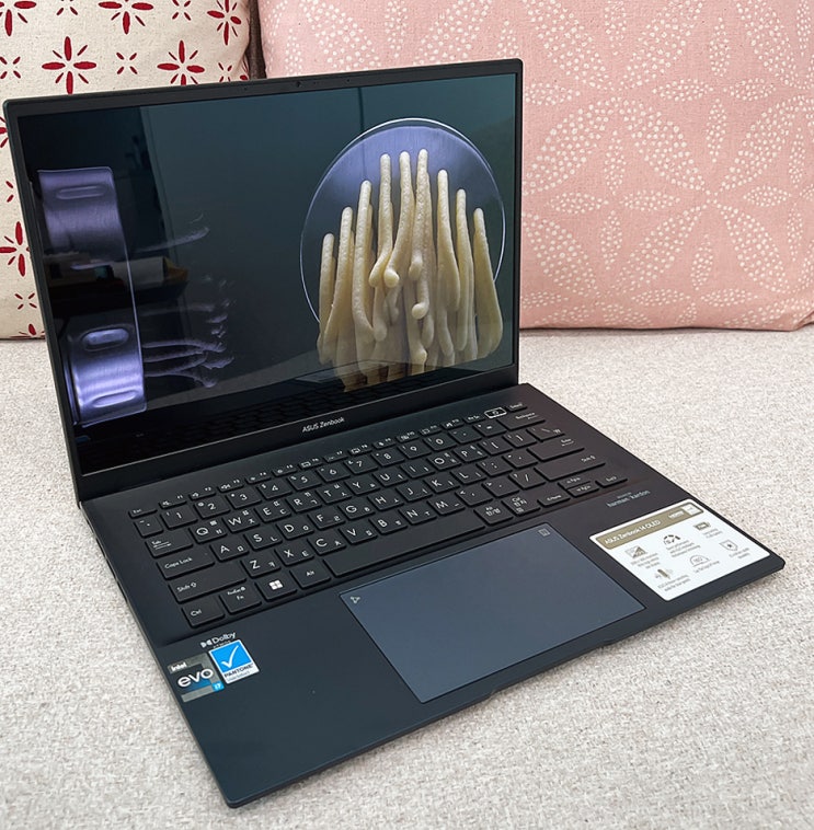 필요한 것만 완벽히 갖춘 직장인 노트북 에이수스 젠북 ASUS ZenBook 14 OLED (UX3402ZA)