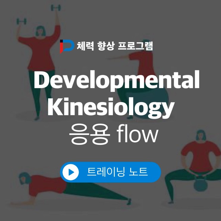 송파문정 운동센터- Developmental Kinesiology(발달 운동학)을 응용한 운동 FLOW