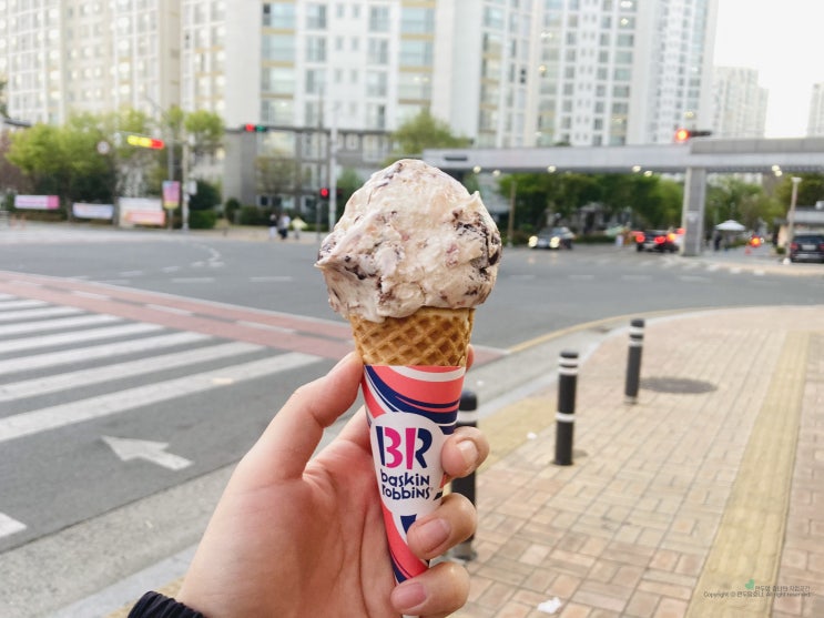 220412 사랑에 빠진 외계인 / 지저동 벚꽃 터널 / 아양기찻길 220412 사랑에 빠진 외계인 / 지저동 벚꽃 터널 / 아양기찻길