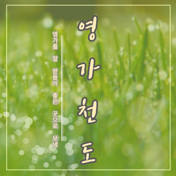  영가천도, 천도재 (49재)에 임하는 마음가짐