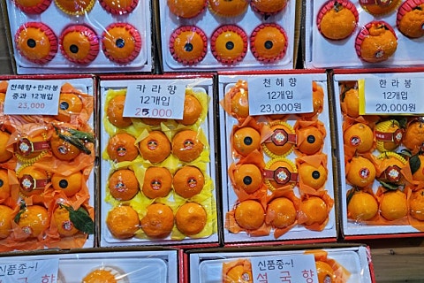 오늘청과2 이미지
