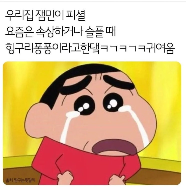 요즘 애들은 슬플때 힝구리퐁퐁 이라고 한답니다. 힝구리퐁퐁 짤, 힝구리퐁퐁 뜻