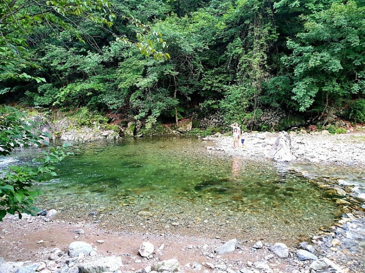  용추계곡 당일치기