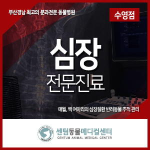  강아지 고양이 <심장진료> 동물병원 (부산경남 센텀동물메디컬센터 수영점)