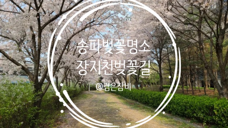서울 송파구 벚꽃명소는 석촌호수만 있는게 아니다!! 걷기 좋은 송파 둘레길 벚꽃 나들이  장지천벚꽃길~~