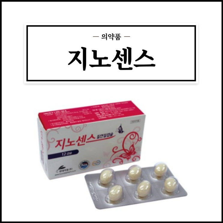  지노센스질연질캡슐, 효능효과/사용법/부작용/주의사항 등 간단정리