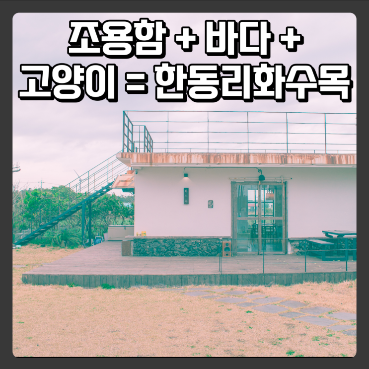  조용한카페 + 바다 + 고양이 = 한동리화수목