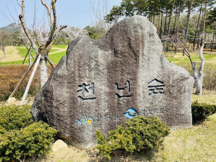  안동 공원 : 안동 가볼만한 곳 천년숲
