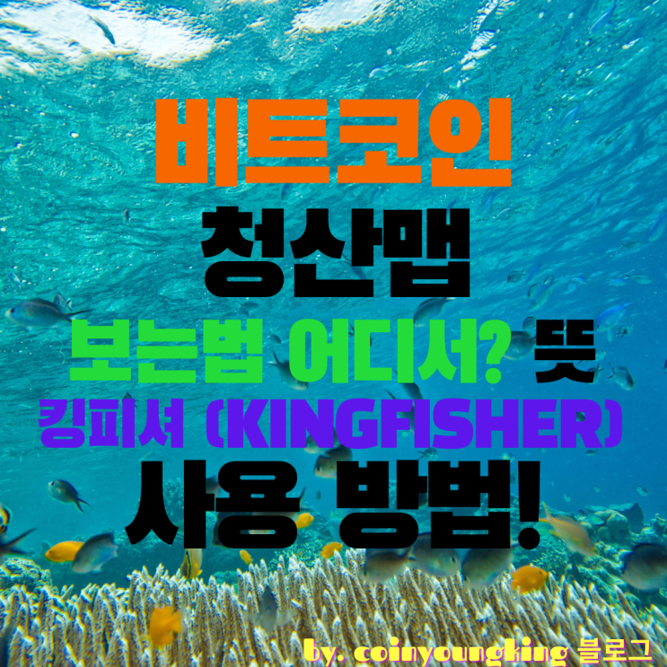  비트코인 청산맵 보는법 어디서? 뜻 킹피셔(사이트) 사용 방법!