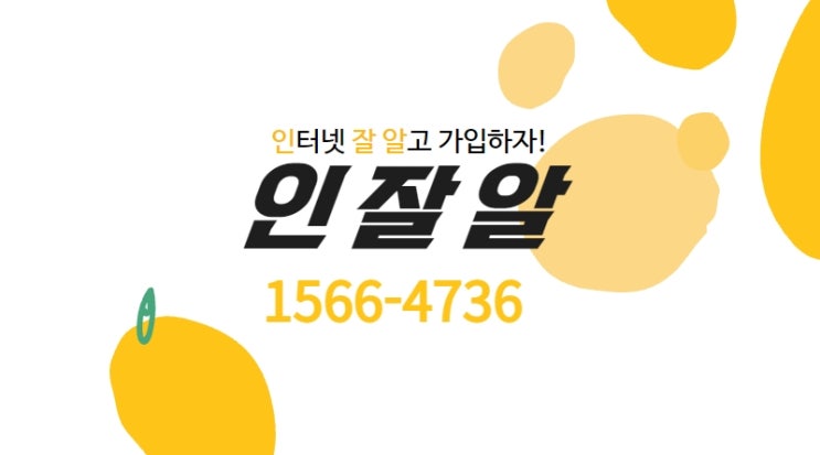  인터넷 가입 고민? 가입처별 차이는? 딱 정해드립니다!