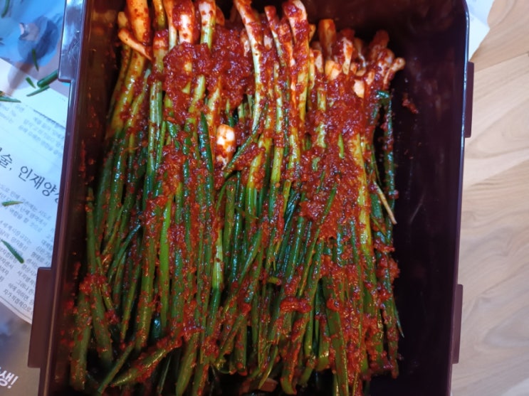  파김치 양념 맛있게 파김치 담그는 법 파김치 요리