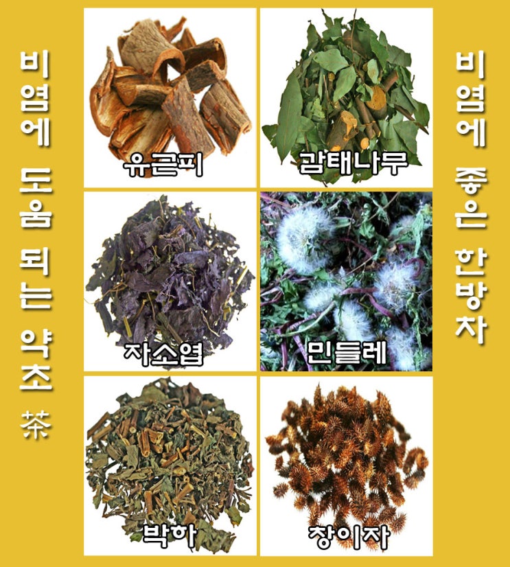  비염에 좋은 한방차