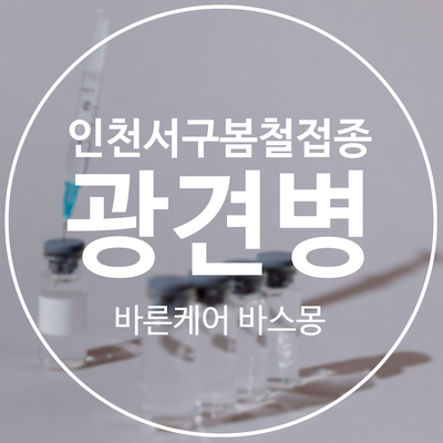  인천 서구 강아지 광견병 예방접종 정부 지원