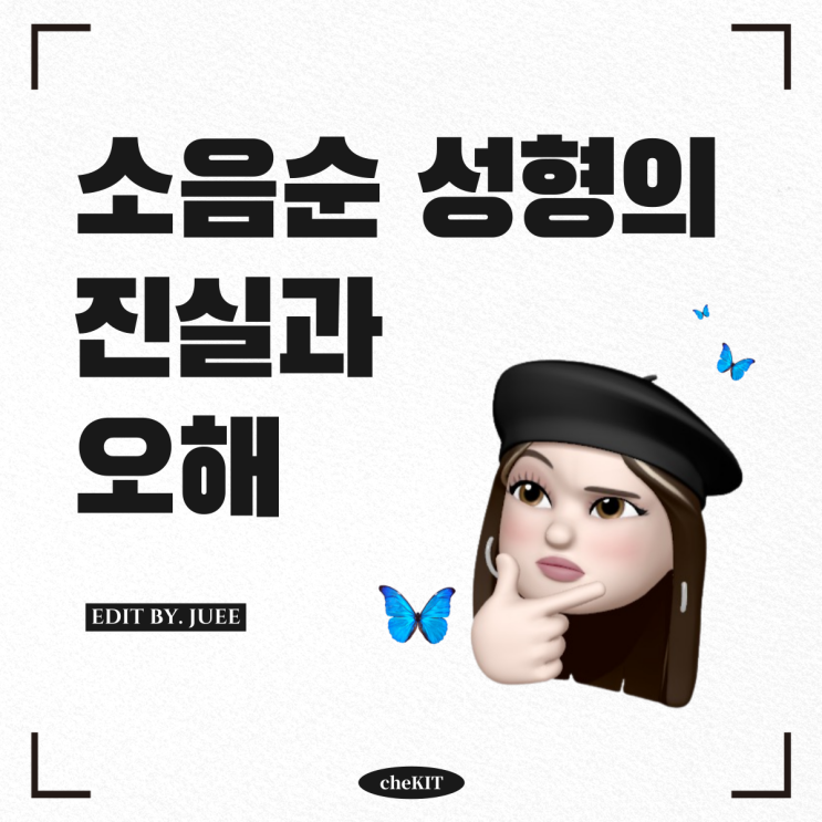  [cheKIT 체킷] 소음순 성형의 진실과 오해