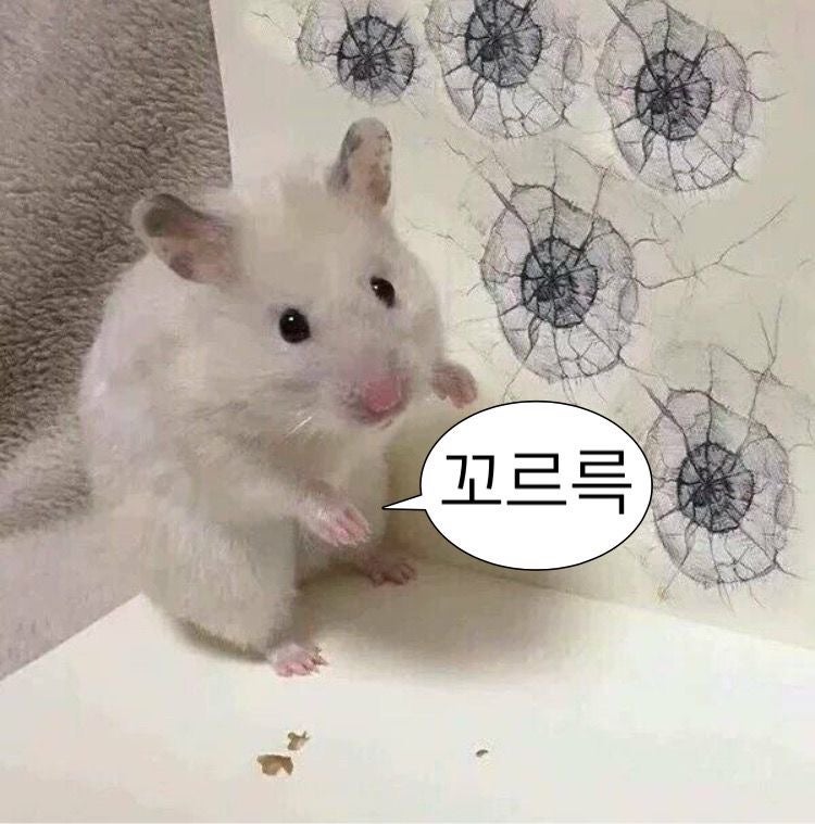 햄스터말풍선짤 햄스터밈 햄스터사진모음 말풍선짤모음 귀여운짤 카톡짤 2탄 : 네이버 블로그