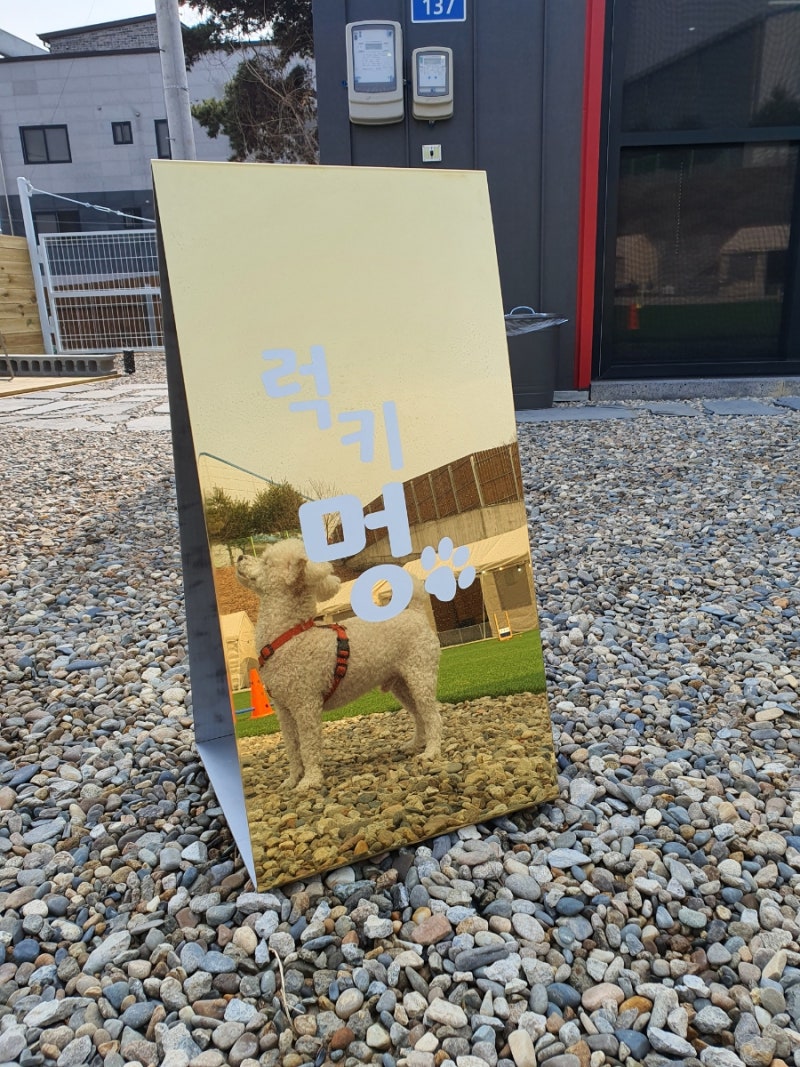 럭키멍 바베큐/카페/운동장