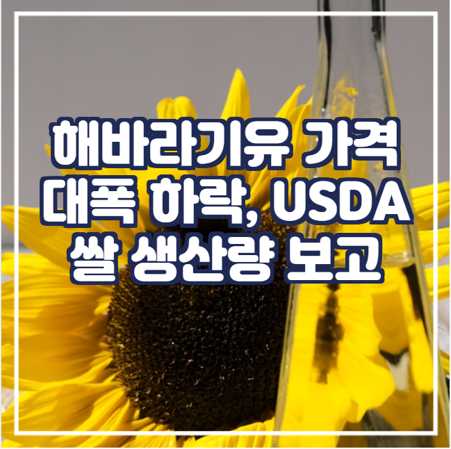  [국제농산물] 해바라기유 가격 대폭 하락, USDA 쌀 생산량 보고