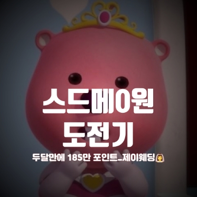  스드메 뜻 & 스드메 0원 도전 성공 후기 (두달 만에 185만 포인트_제이웨딩)