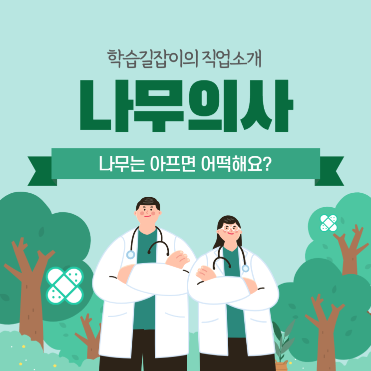 나무의사 전망 나무의사란? 나무의사 하는일 전망 좋은 직업 나무의사! 나무의사 전망 나무의사란? 나무의사 하는일 전망 좋은 직업 나무의사!