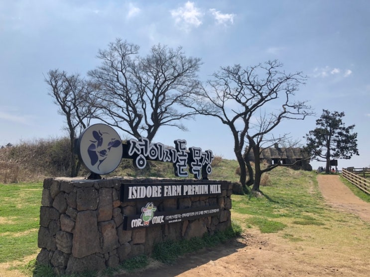  [제주도 가볼만한 곳/서귀포] 2박3일ㆍ뚜벅이여행ㆍ성이시돌목장ㆍ우유부단ㆍ테쉬폰 (2-1)