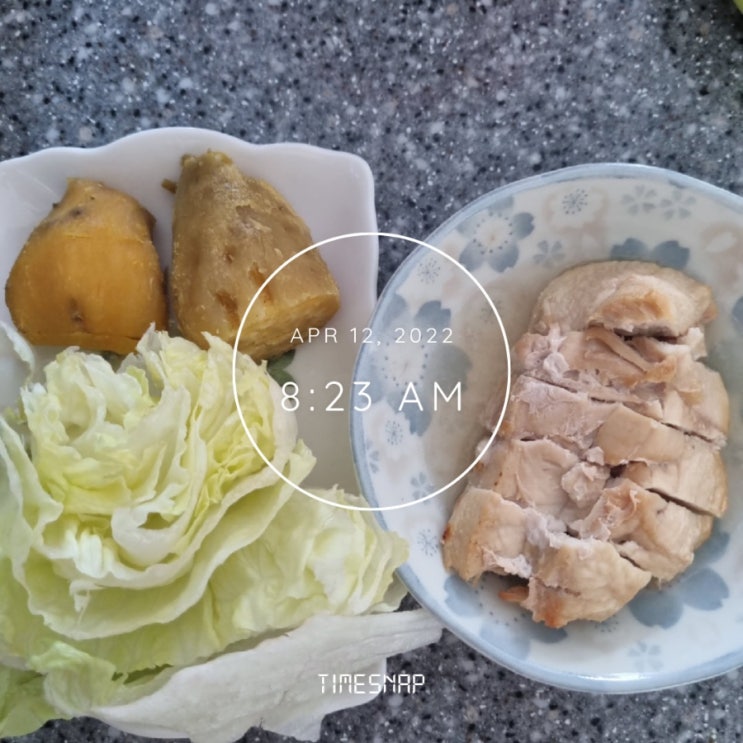  [여자바디프로필] 바프 준비 (D-49)