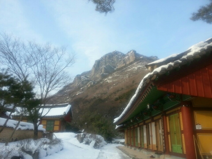 고찰 산책