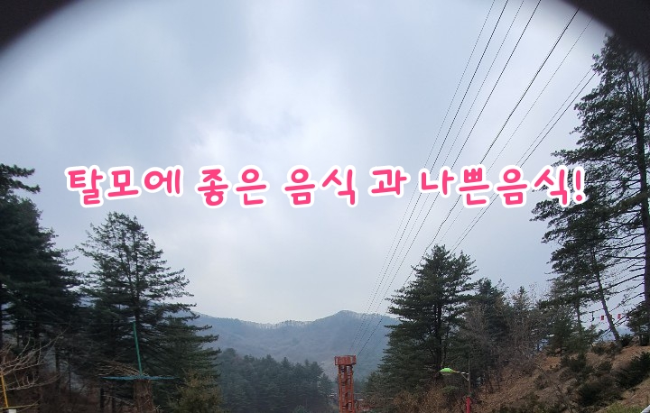 탈모에 좋은 음식 과 나쁜음식! 탈모에 좋은 음식 과 나쁜음식!
