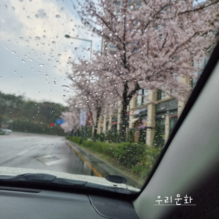 비오는 날 듣고 싶은 힙 한 곡(파테코/Rainy day )