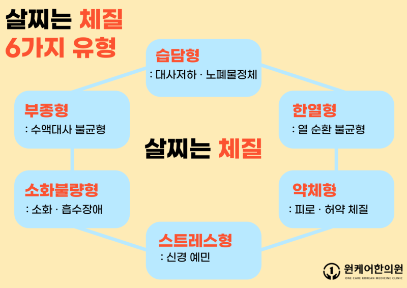 습담증 치료로 건강한 다이어트