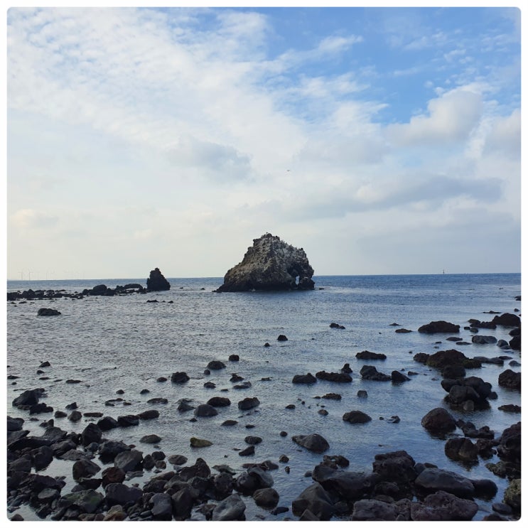  제주도 배편 제주 비양도  배 시간, 요금 알고 여행하자!