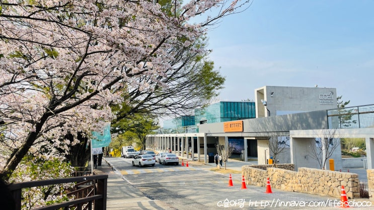  새로 생긴 중랑망우공간 벚꽃 산책과 함께 한 현장스케치