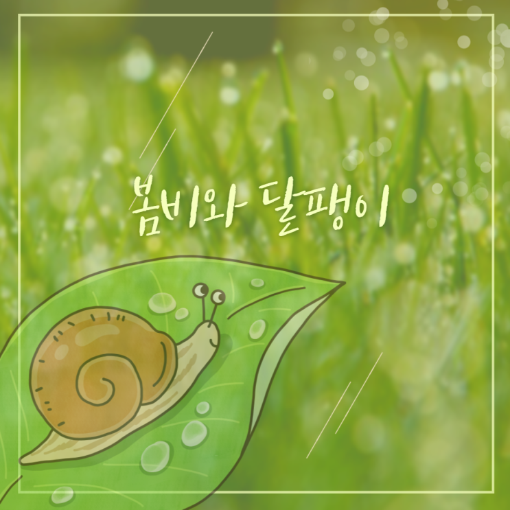  봄비와 달팽이