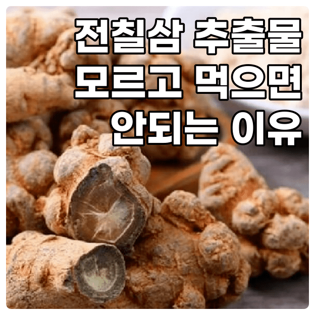  전칠삼 추출물 가짜가 아닌 진짜를 고르는 선택법