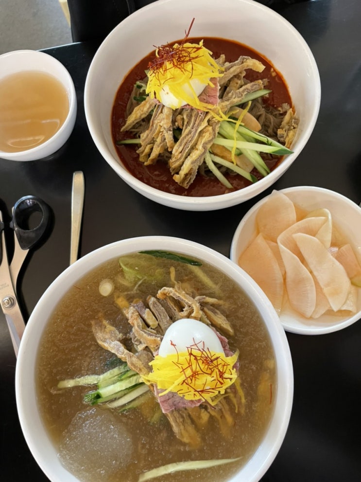  서울/송파) 석촌호수 냉면맛집 하연옥