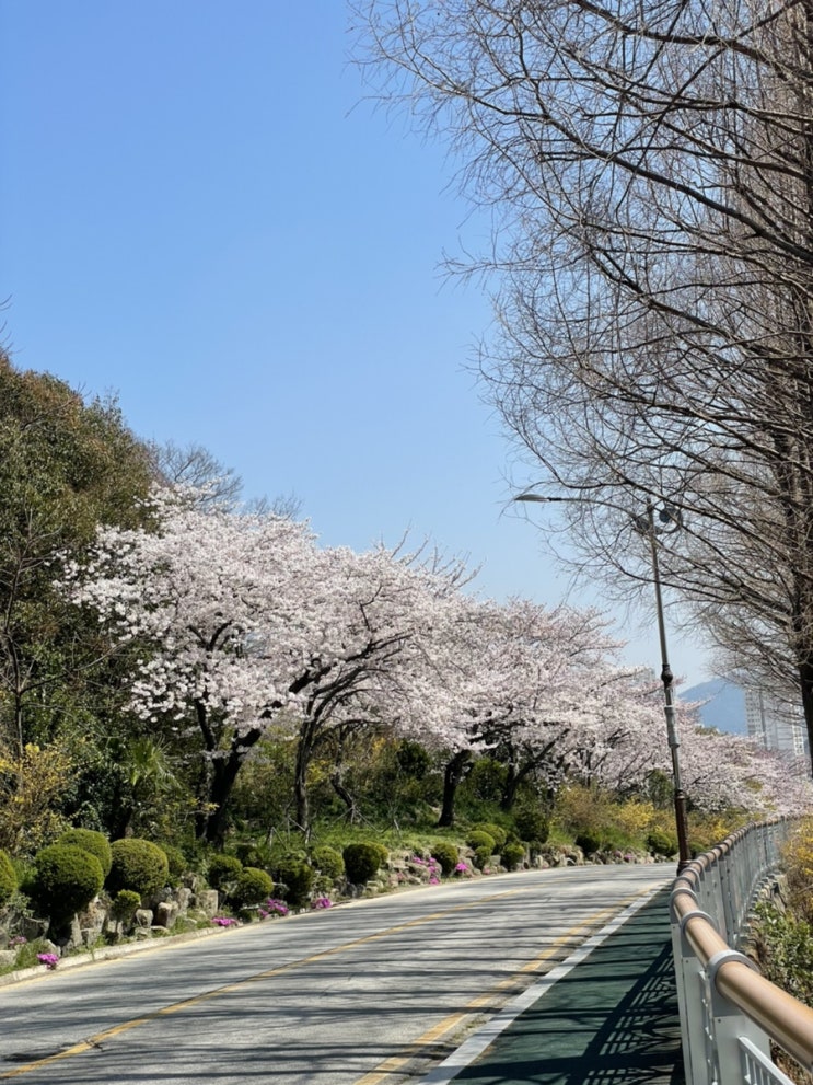 목포 :: 1박2일 목포여행 2 / 유달산 벚꽃구경 / 해상케이블카