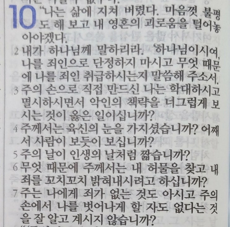 욥의 시련(욥기) 10장