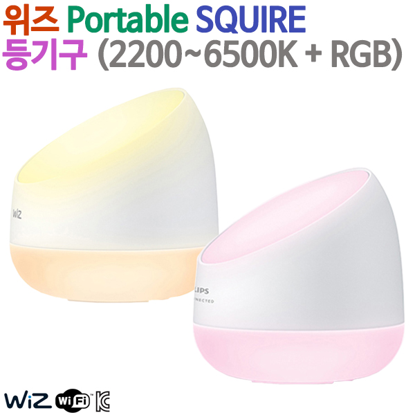위즈 Portable SQUIRE 등기구 (2200~6500K + RGB)
