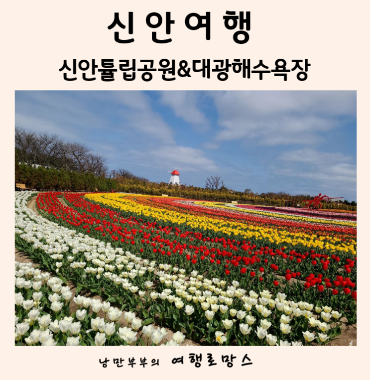  2022년 신안 튤립 축제는 취소, 신안 임자도 튤립공원, 대광해변으로 가요!