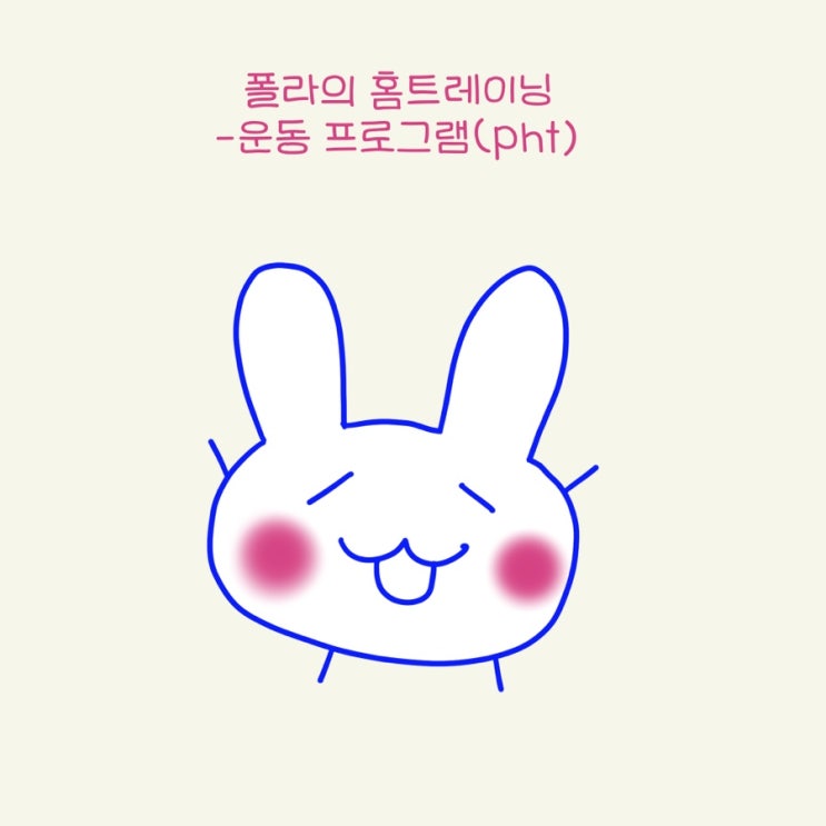  폴라토끼의 홈트레이닝 <운동 프로그램편-pht>