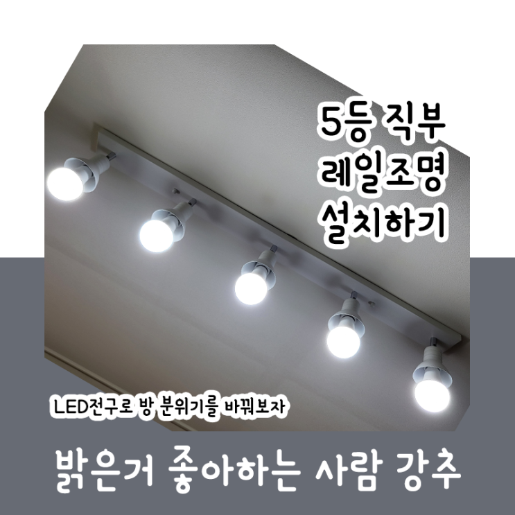  5등 직부 레일조명 설치하기_LED전구