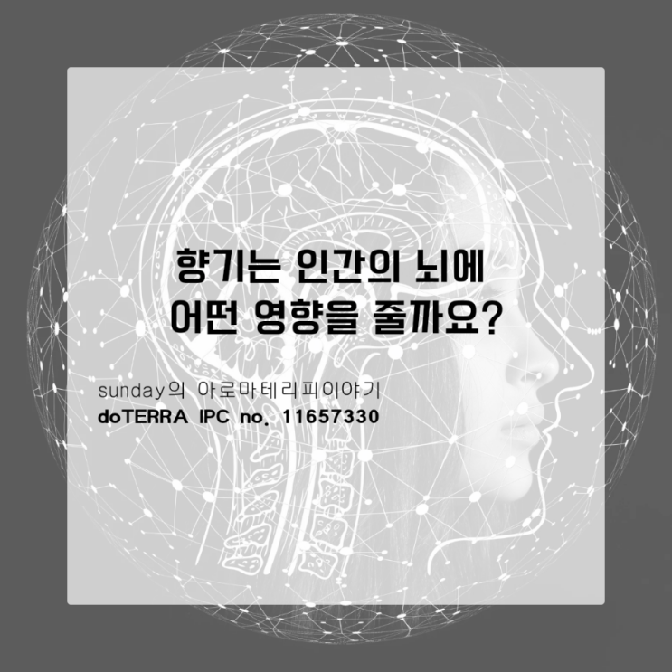  [아로마테라피 이야기] 뇌를 자극하는 향기, 아로마테라피는 어떤 효과가 있을까요?_남양주도테라