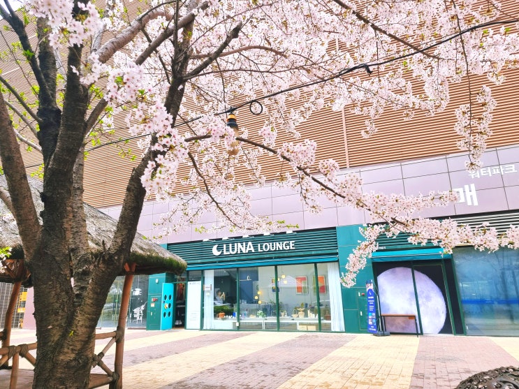  일산 대화동 공간대여 소개, 후기