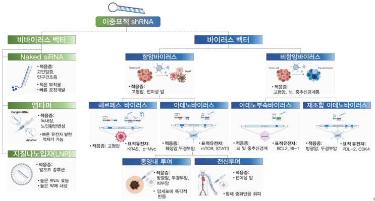 큐리진 "혁신적 이중표적 shRNA·RNAi 전달기술 기반 '유전자 신약' 개발"