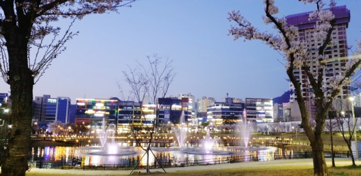  [감사 일기 6일 ] 살아온 외부적 환경에 대해 감사하기