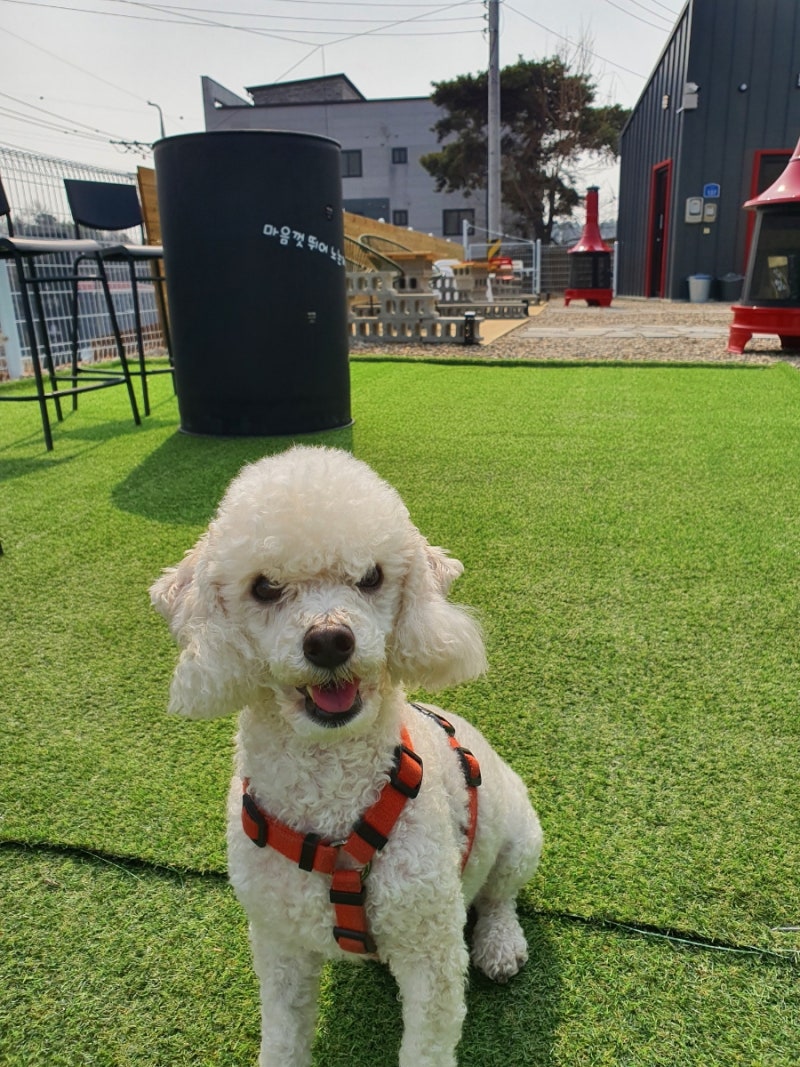 사진 2