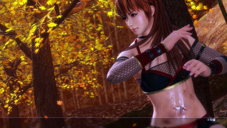 격투겜을 가장한 인형옷 갈아입히기 게임, XBOX DOA6가 할인중이라서 구입하였다.