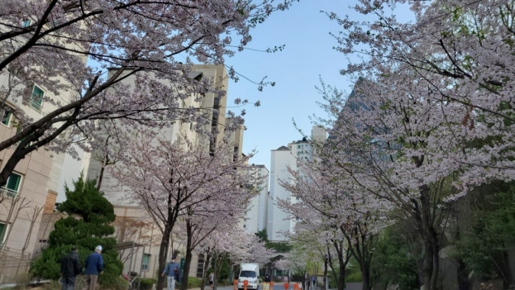  강아지랑 놀아주기(강아지산책). #모먼트매일루틴챌린지1