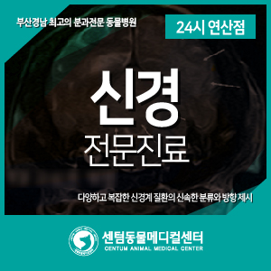  강아지 고양이 <신경진료> 동물병원 (부산경남 24시 센텀동물메디컬센터 연산점)