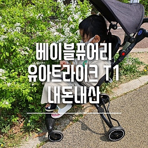 베이블퓨어리 트라이크 T1 후기
